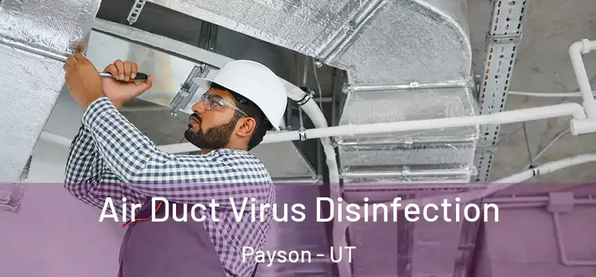  Air Duct Virus Disinfection Payson - UT
