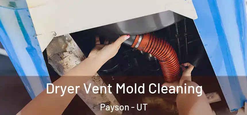 Dryer Vent Mold Cleaning Payson - UT