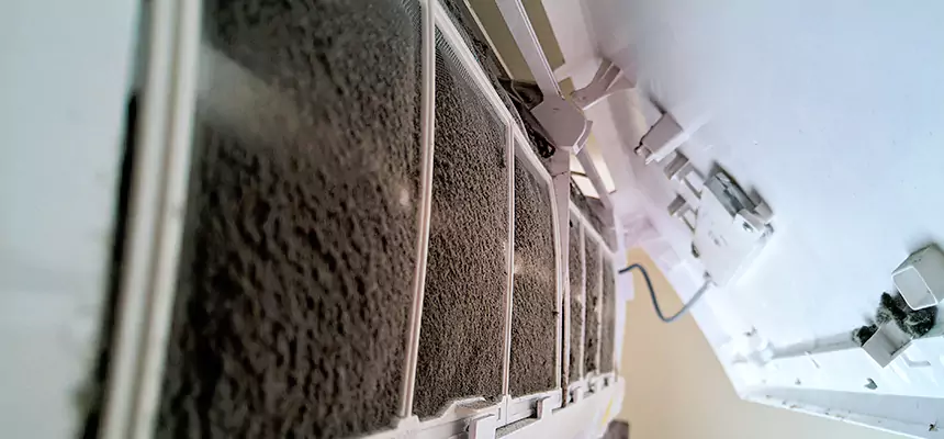 Preventive Air Duct Bacteria Removal in Payson