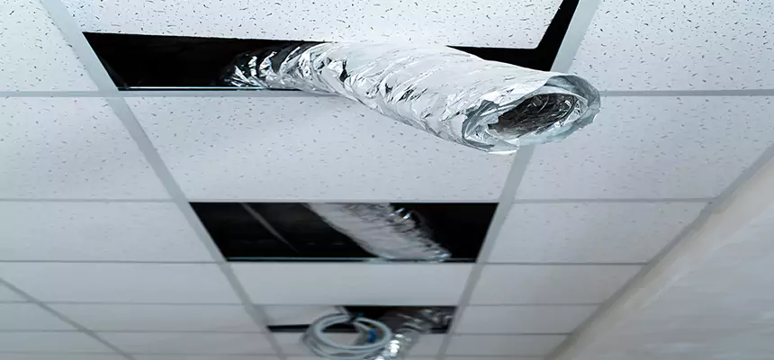 Our Air Duct Pet Hair Removal Services in Payson, UT