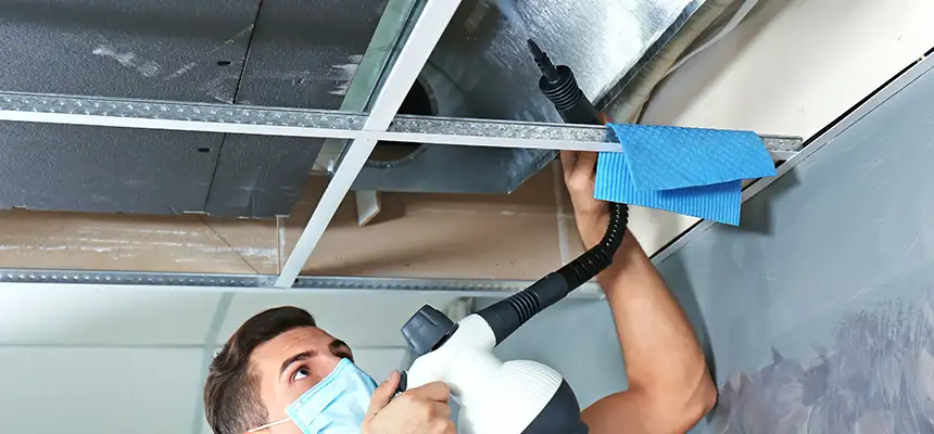 Our Air Duct Rodent Removal Services in Payson, UT