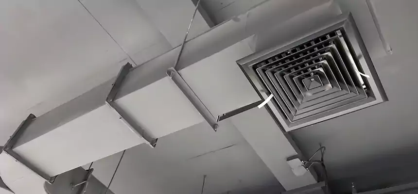 Restorative Allergy Relief Vent Cleaning – Coil, Blower & Housing Detail in Payson