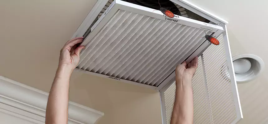 Our Insect Removal from Air Ducts Services in Payson, UT