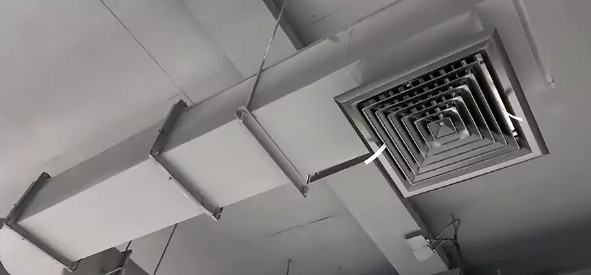 Our Pest Removal From Ducts Services in Payson, UT