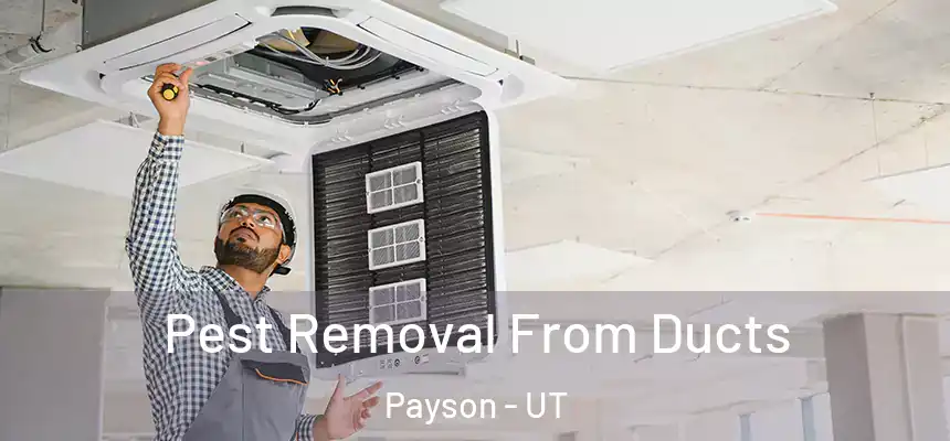  Pest Removal From Ducts Payson - UT
