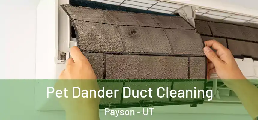  Pet Dander Duct Cleaning Payson - UT