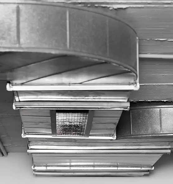 Professional Air Duct Pet Hair Removal in Payson, UT