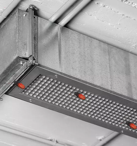 Affordable Insect Removal from Air Ducts in Payson, UT