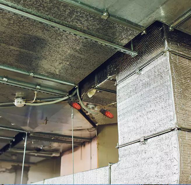 Why Homeowners & Businesses Trust Us in Payson, UT?