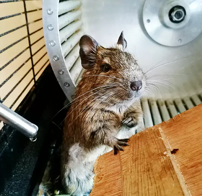 Why Homeowners & Businesses Trust Us Payson, UT